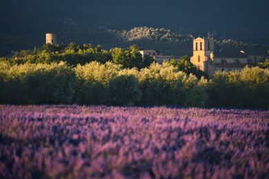 commissaire-priseur-marseille